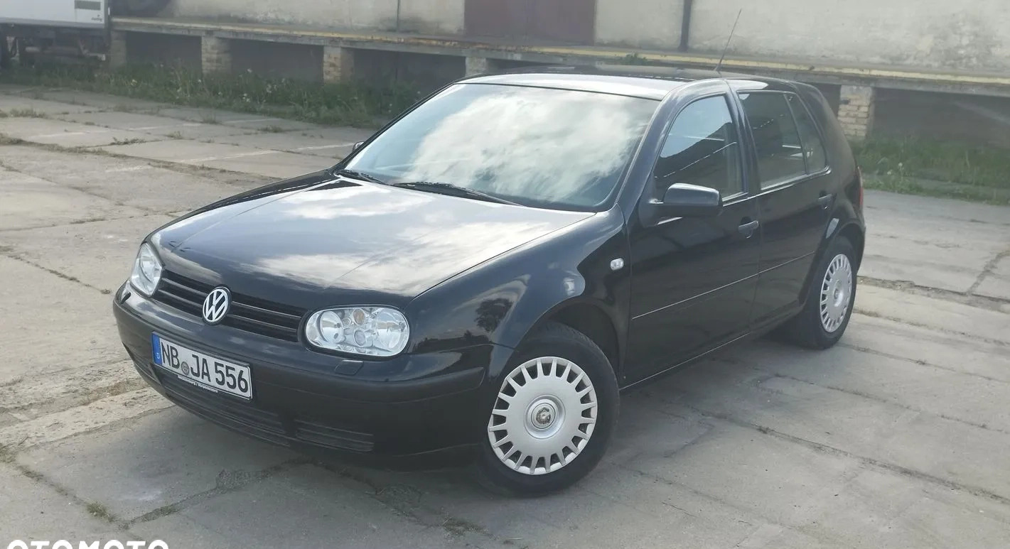 Volkswagen Golf cena 7900 przebieg: 159646, rok produkcji 2002 z Piwniczna-Zdrój małe 529